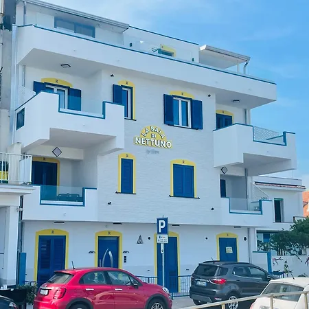 La Baia Di Nettuno Il Gatto E La Volpe *